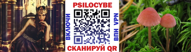 где можно купить   Сусуман  Псилоцибиновые грибы мухоморы 